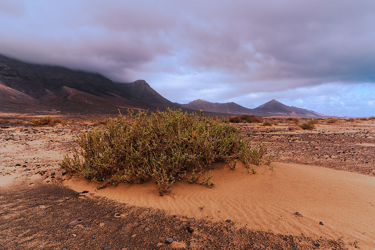 Cofete beach