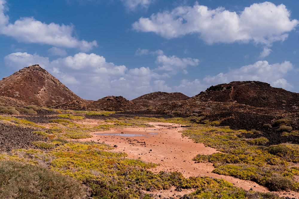 Lobos Island