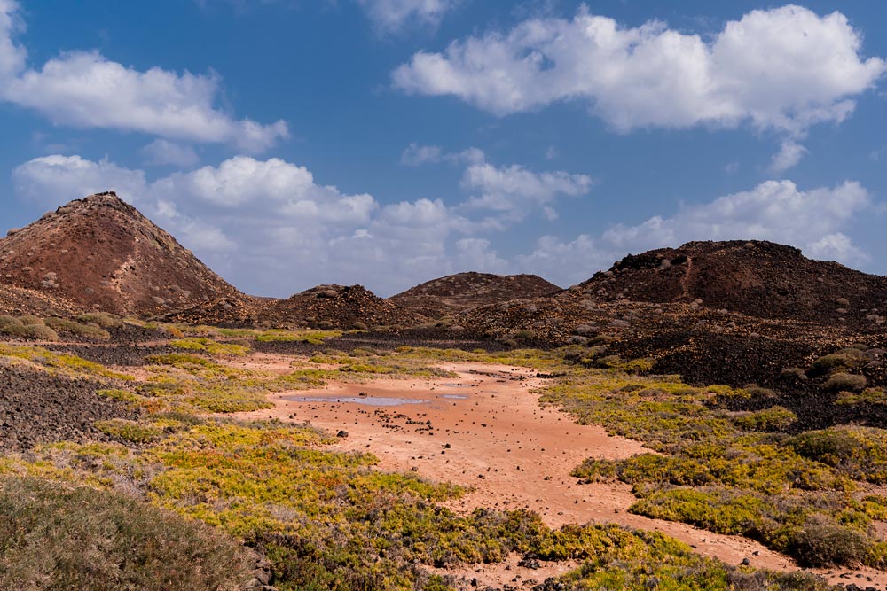 Things to do in Corralejo Fuerteventura - visit Lobos Island