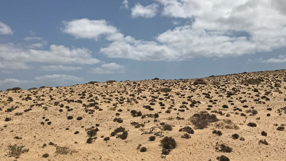 Desert Canary Islands