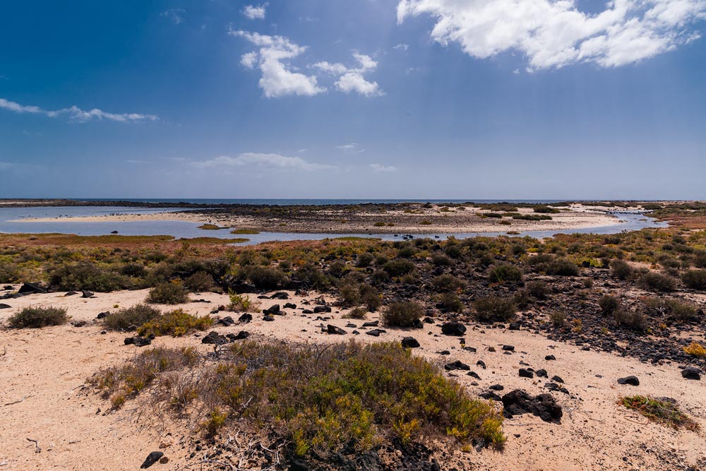 Las Lagunitas | Lobos Island