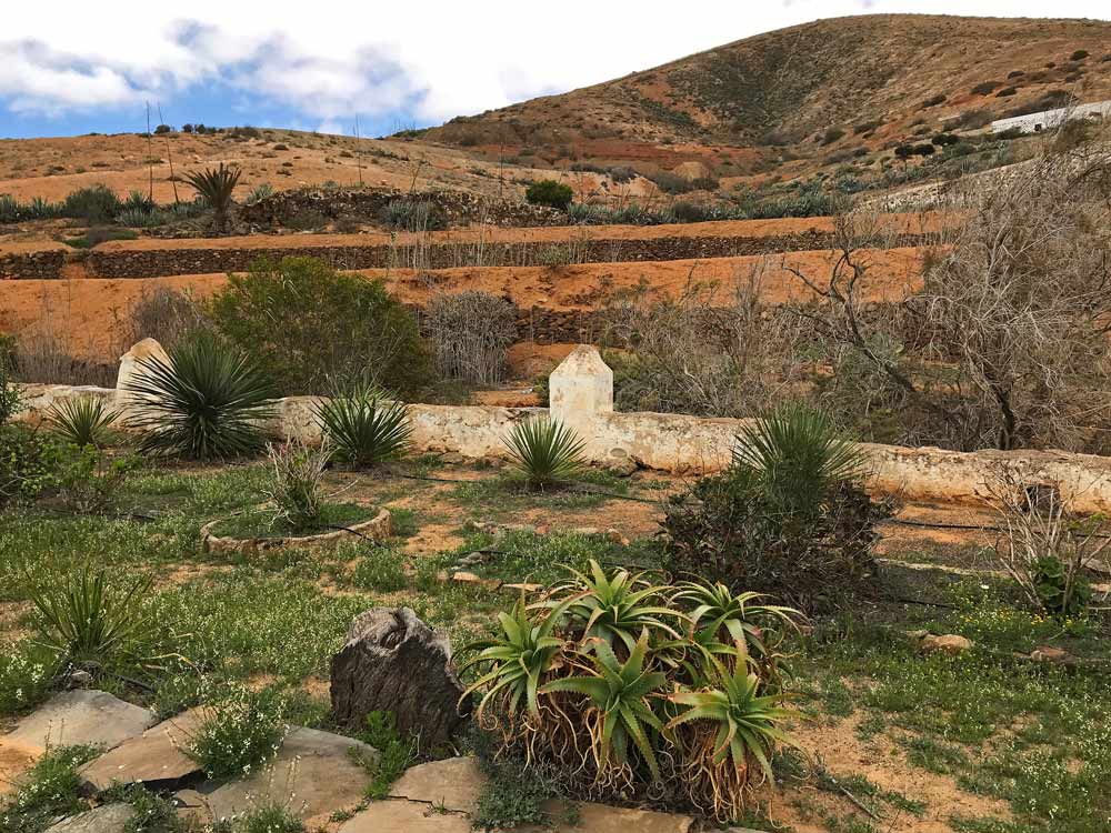 Fuerteventura inlands