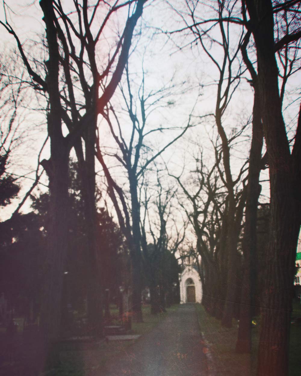 Cemetery - Unusual things to do in Bratislava