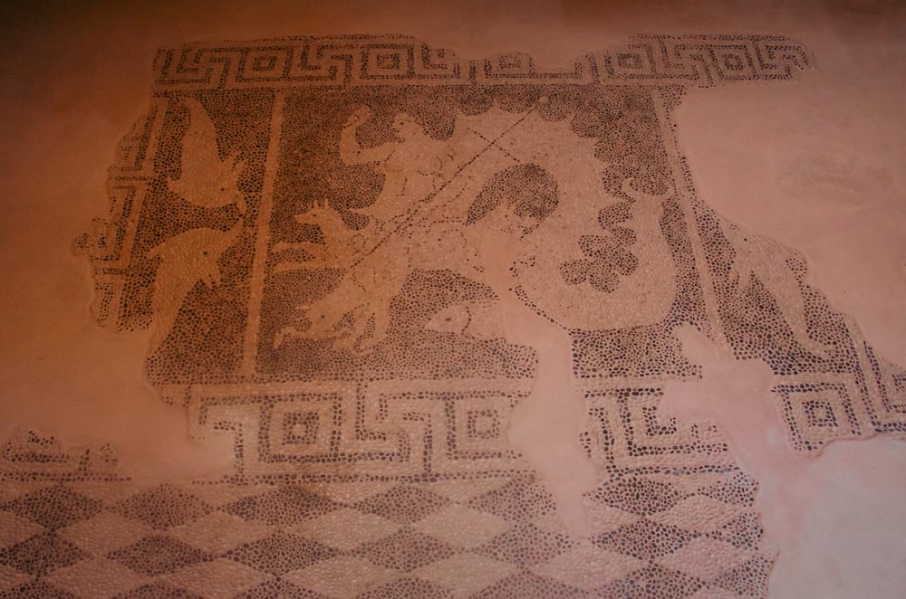 Paphos mosaics - hunting