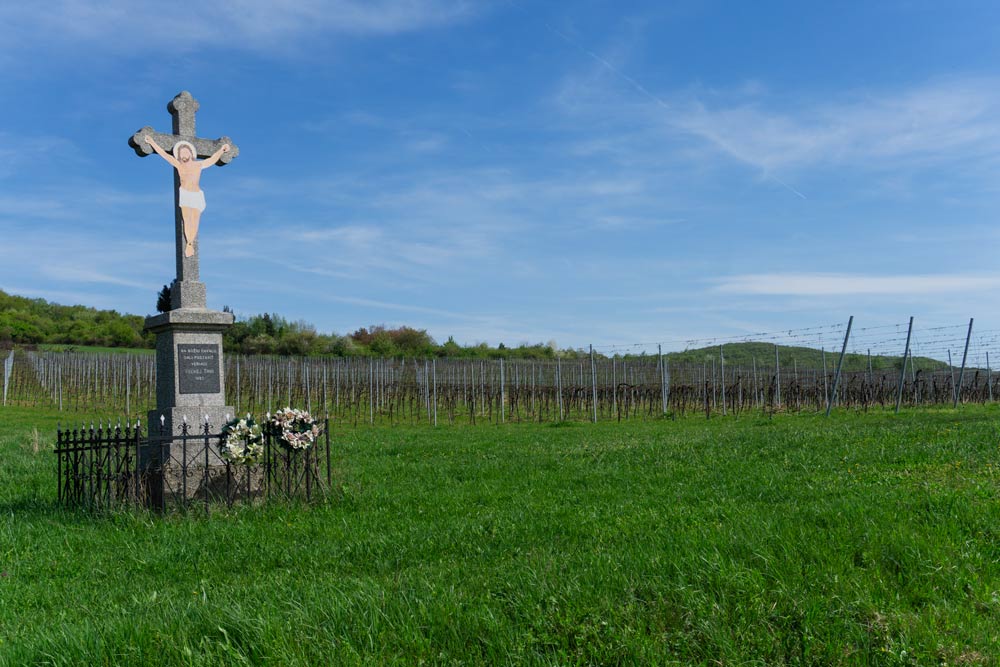 Vineyards