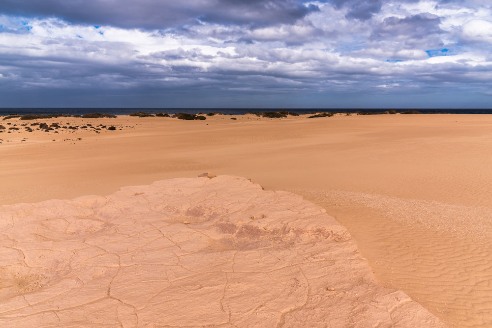 Corralejo dunes and beach