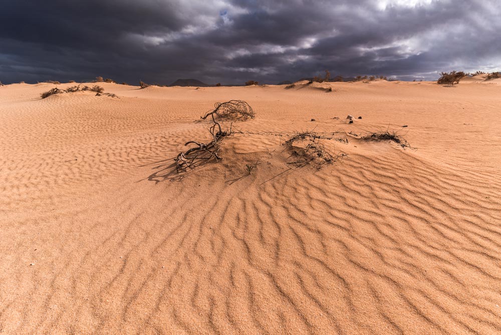 Corralejo sand dunes during rain