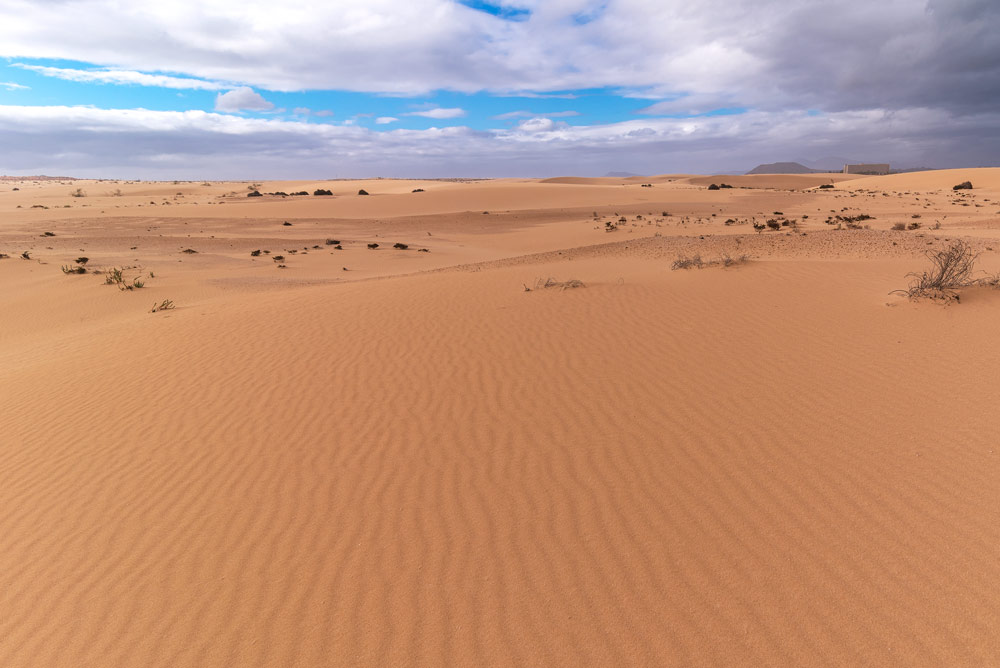 Corralejo sand dunes