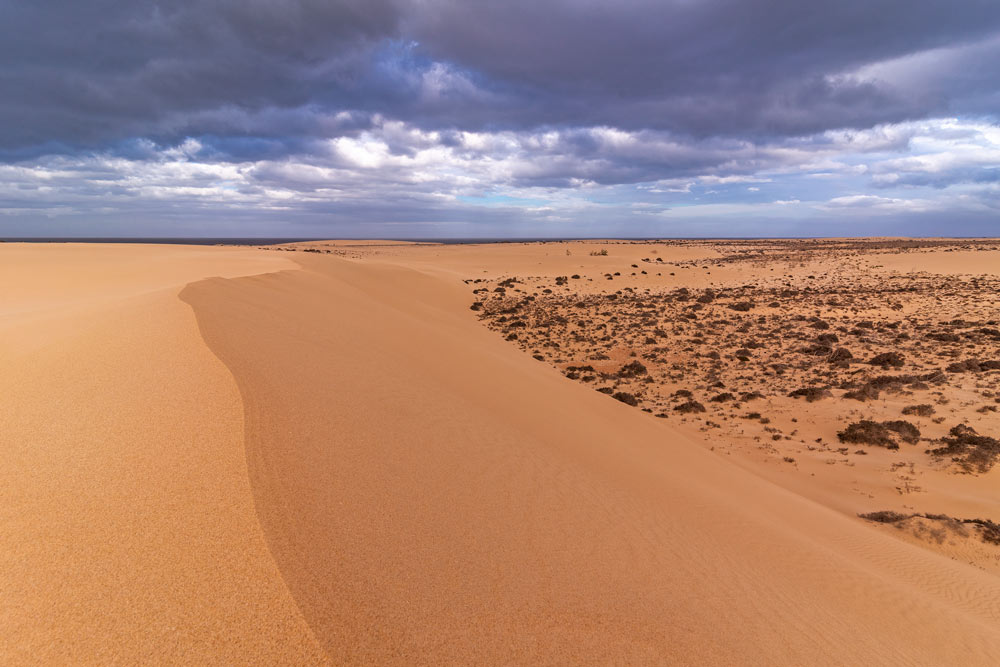 Dunes in Canary Islands