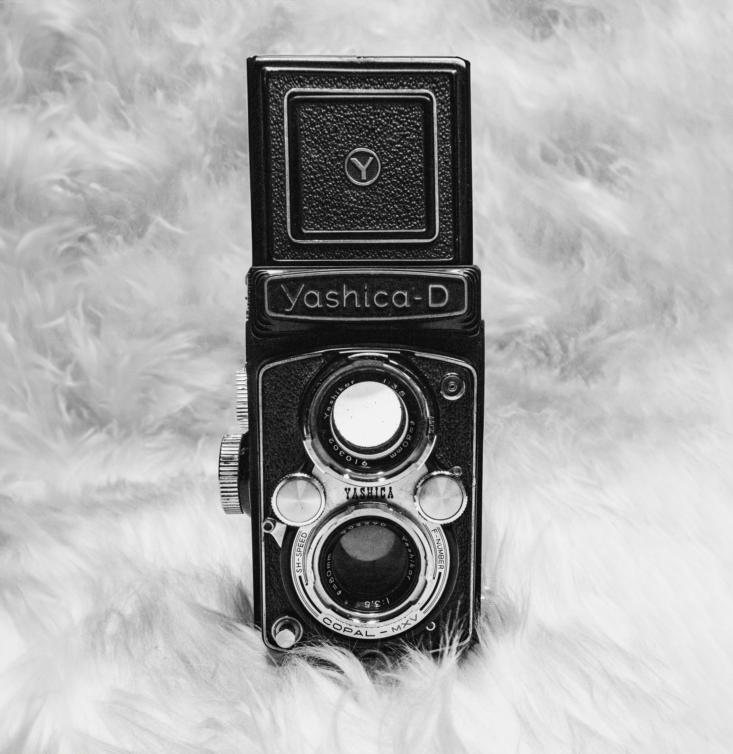 Yashica D