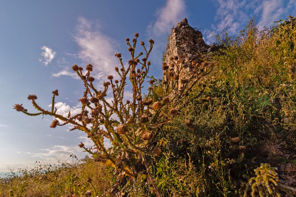 Turňa Castle and plants in Turňa nad Bodvou in Slovakia.