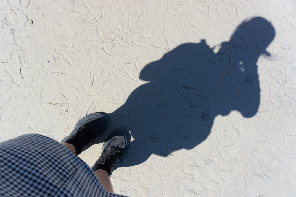 Akrotiri Salt Lake - Flamingo footprints