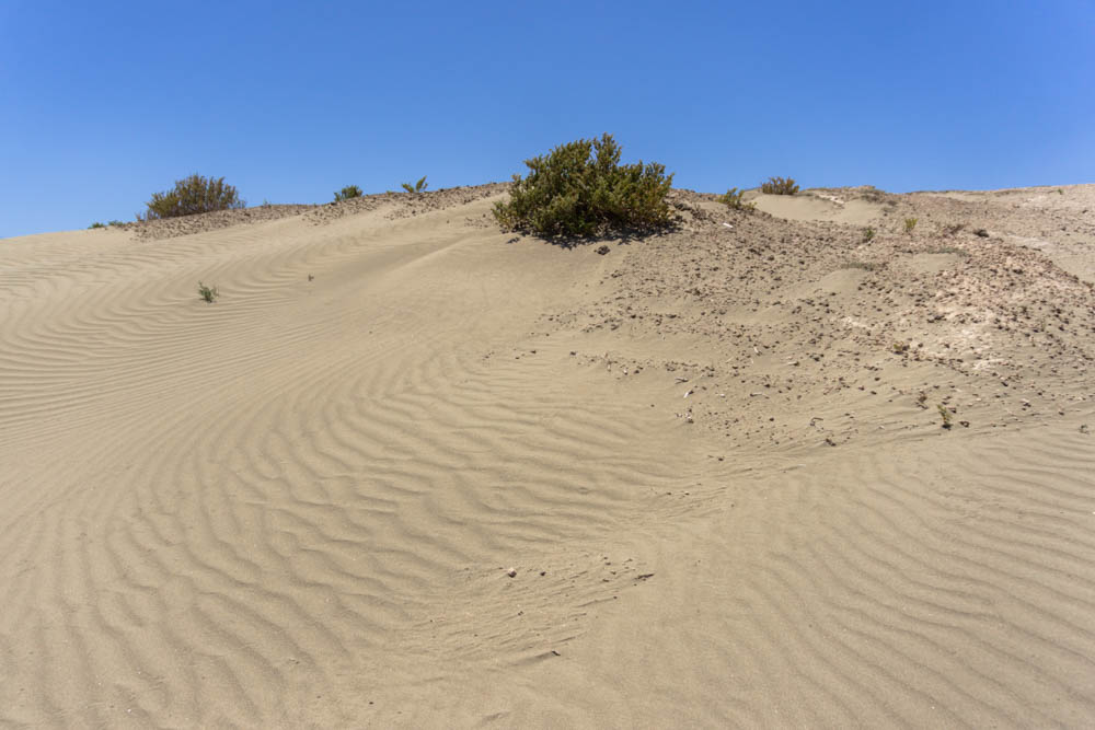 Sand dune, Cyprus