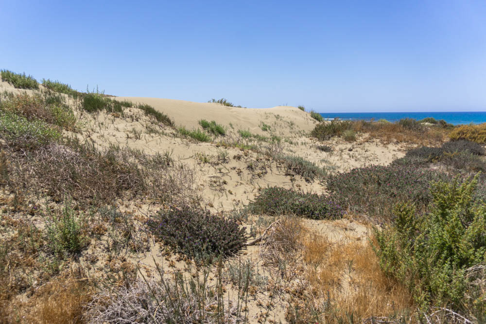 Akrotiri Sand Dunes