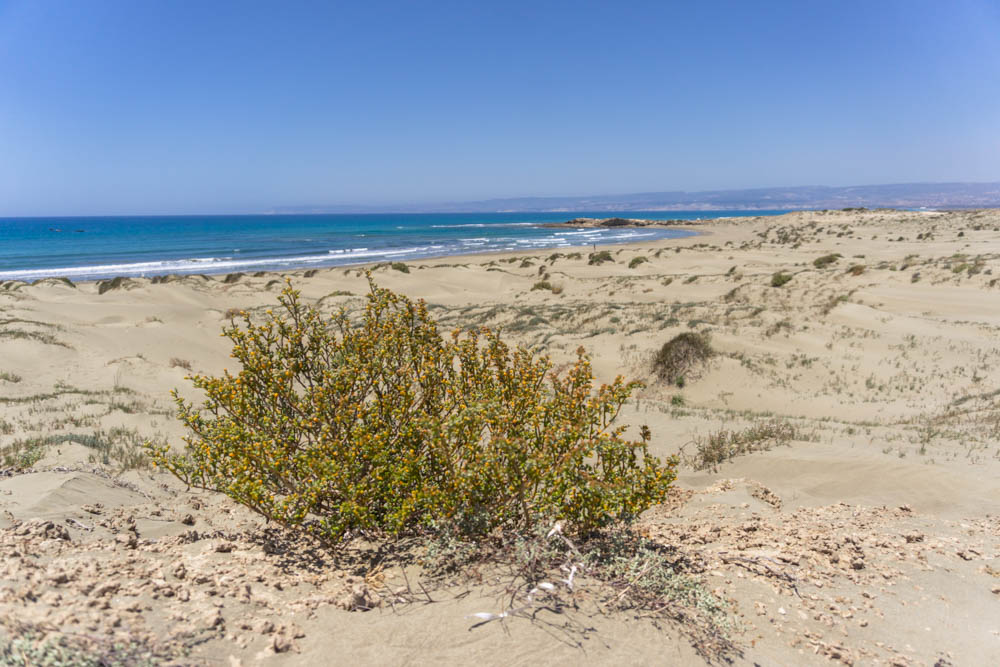 Akrotiri Sand Dunes