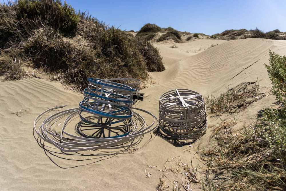 Turtle nests