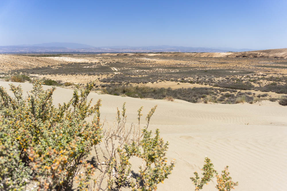 Akrotiri Sand Dunes