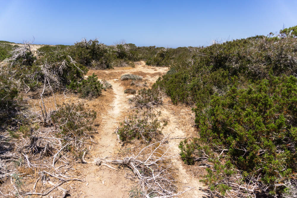 Arid soil, Cyprus