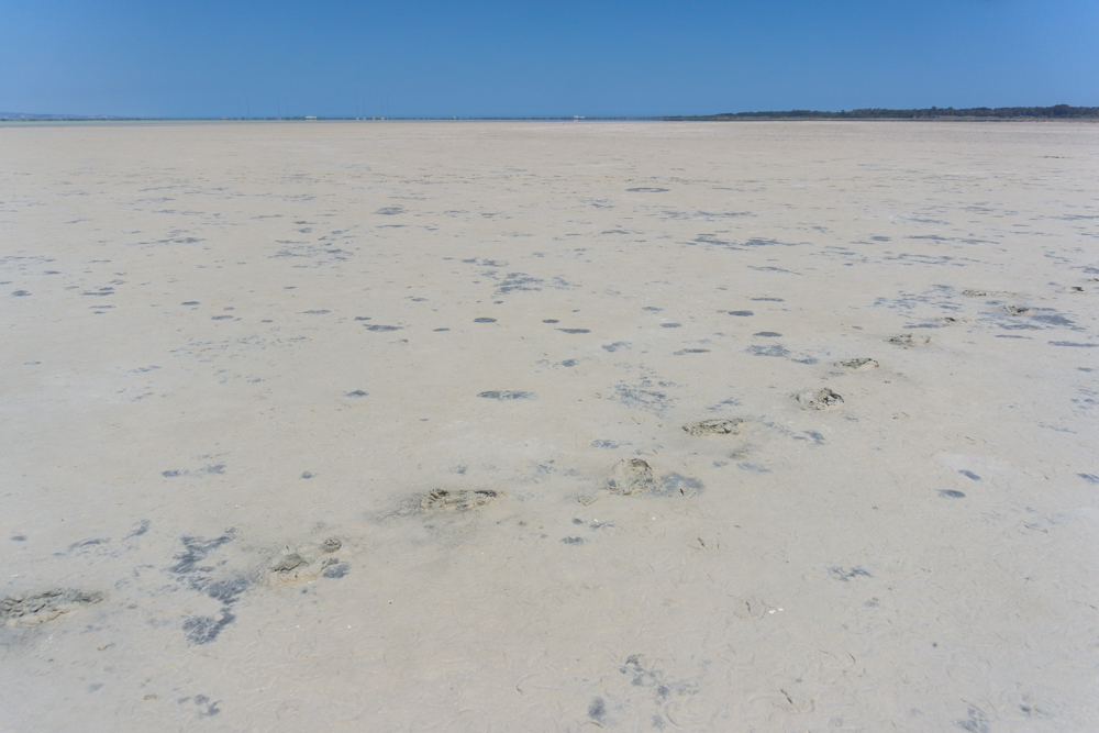 Cyprus salt lake