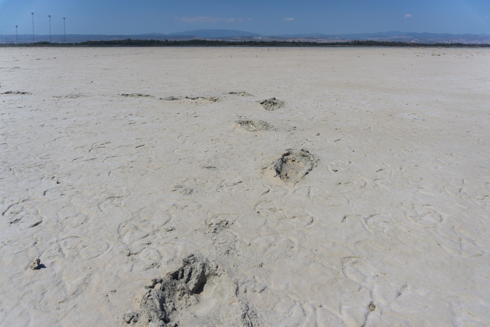 Footprints, Lake, Cyprus