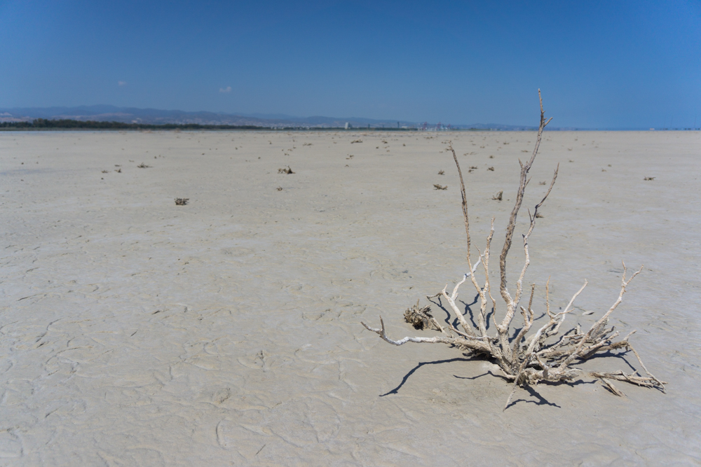 White salt desert, Cyprus