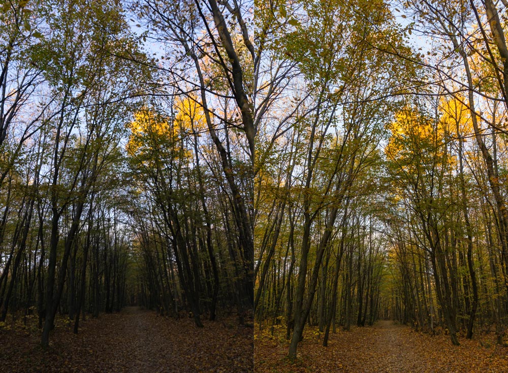 Lighroom fall photo edit