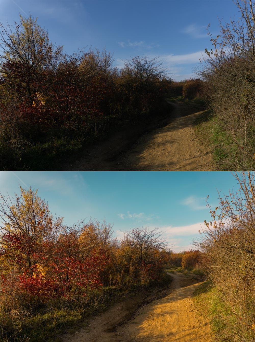 Lightroom Fall Edit
