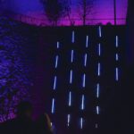 BN Label / Fireflies