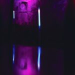 BN Label / Fireflies