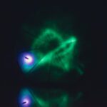 Michal Pustějovský / Luminos Echoes