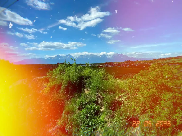 Best Vintage Photo Filter Apps - Lomograph
