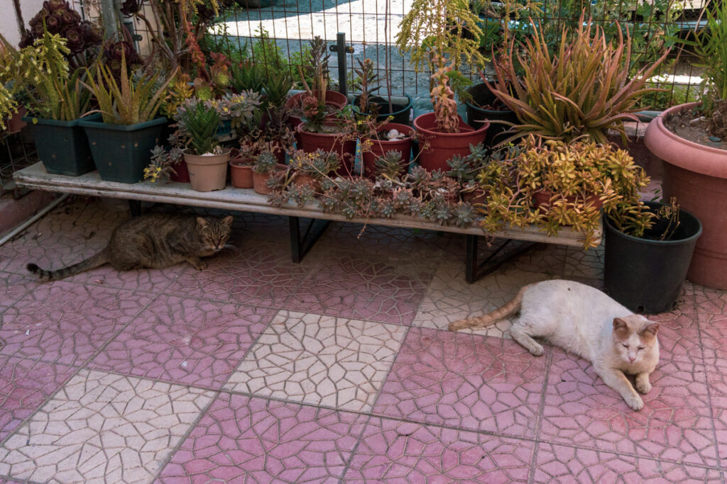 Larnaca, Cyprus