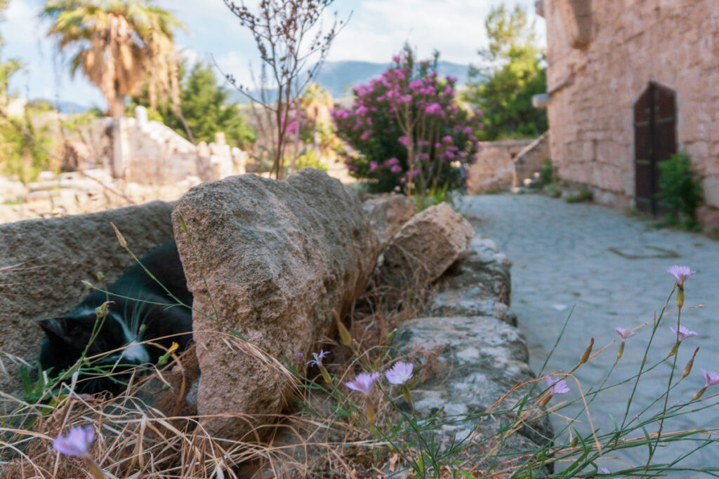 Kyrenia Castle, Cyprus