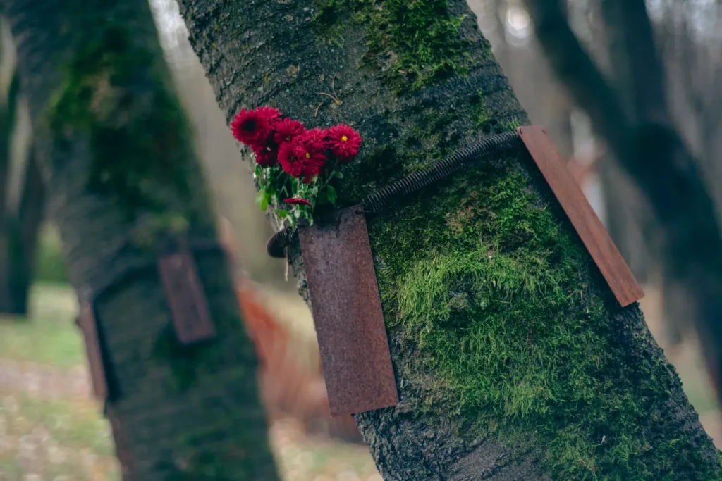 Eco Cemetery, Košice, Slovakia