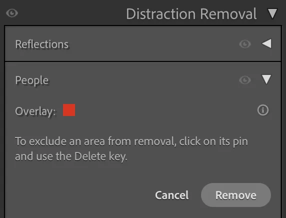 Lightroom Remove Tool