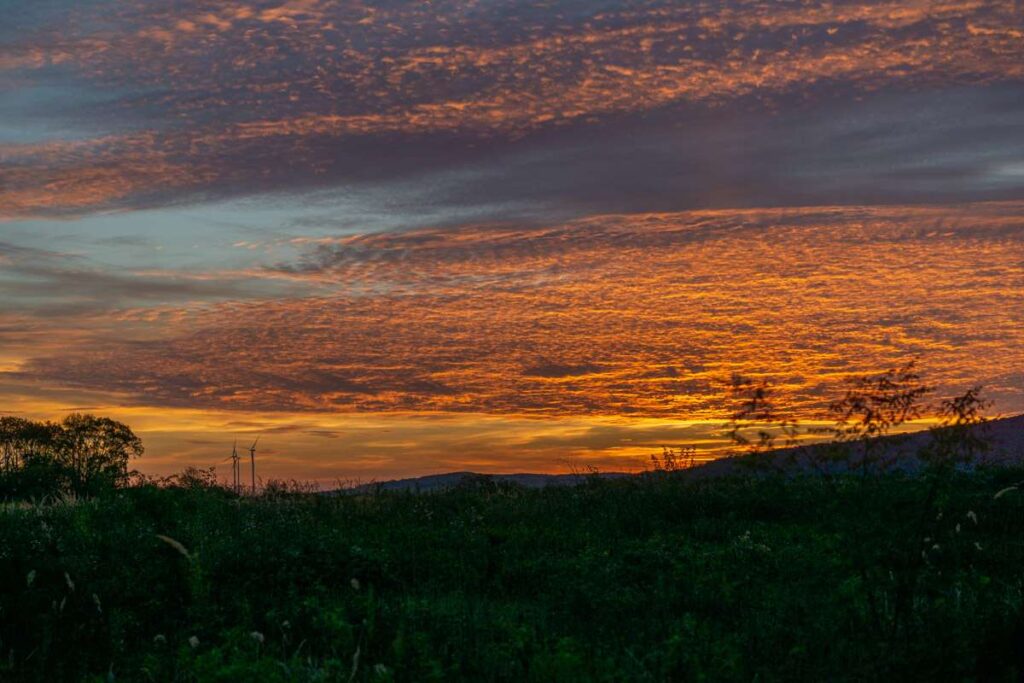 Petržalka Sunset
