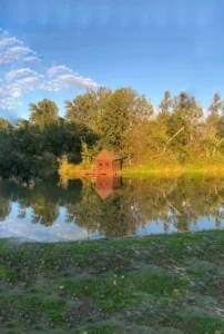 Zálesie