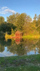 Zálesie