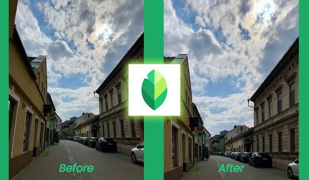 Snapseed Perspective tool