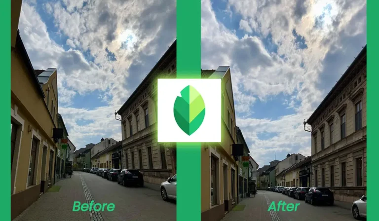 Snapseed Perspective tool