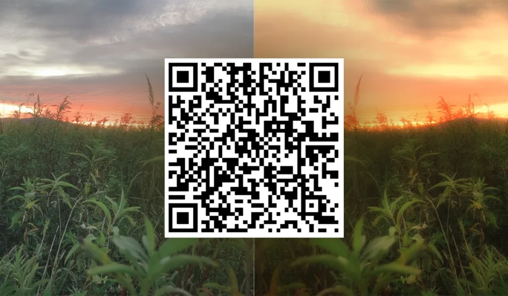 Snapseed QR Code