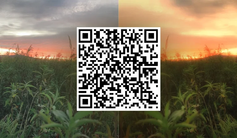 Snapseed QR Code